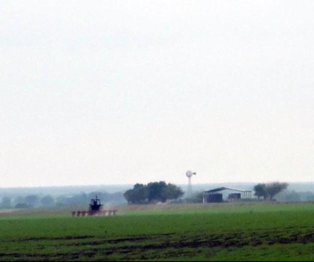 Generalizan las siembras