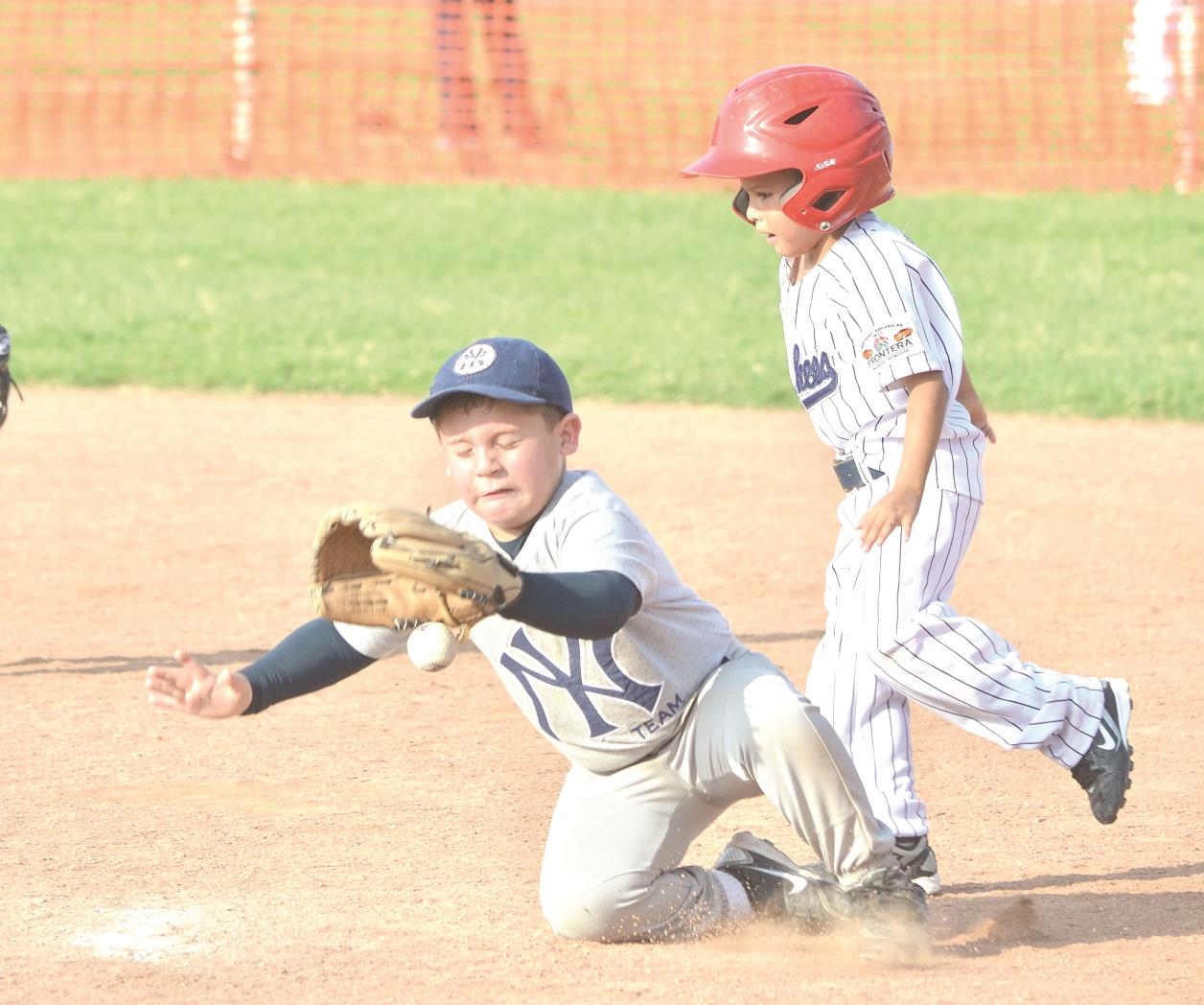 Buscan peloteritos para la Premoyote Buscan peloteritos para la Premoyote