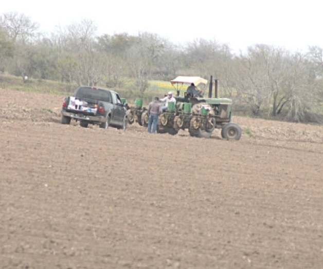 Reanudan siembrasal mejorar el clima