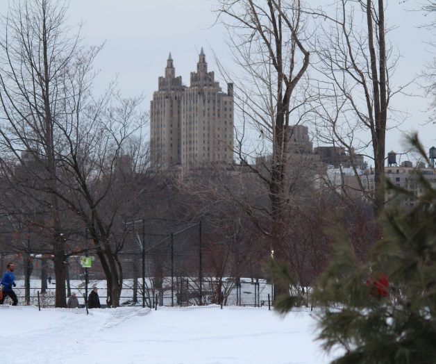 Viento ártico mantiene temperatura históricamente baja en Nueva York