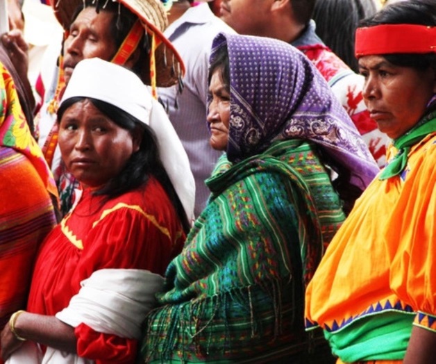 Bilingüe, 81% de la población indígena: UNAM