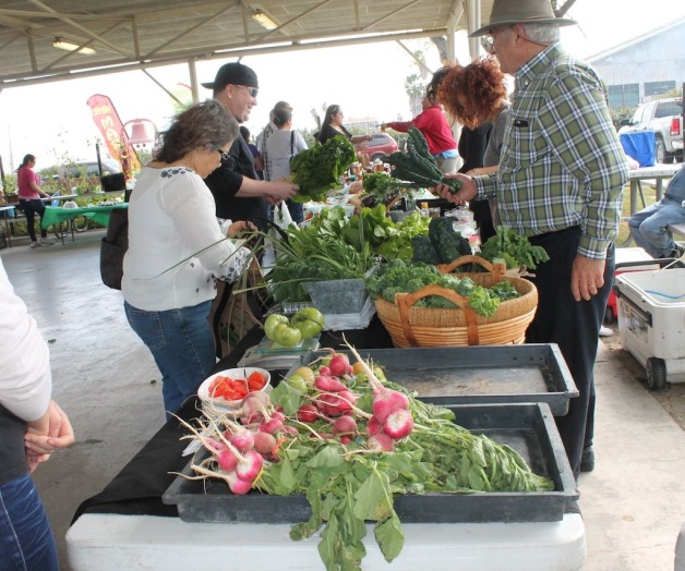 Ofrecen mercado deproductos orgánicos