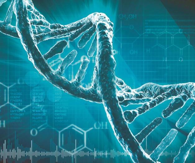 Un macroproyecto revela el mapa de los ‘interruptores’ del genoma Un macroproyecto revela el mapa de los ‘interruptores’ del genoma
