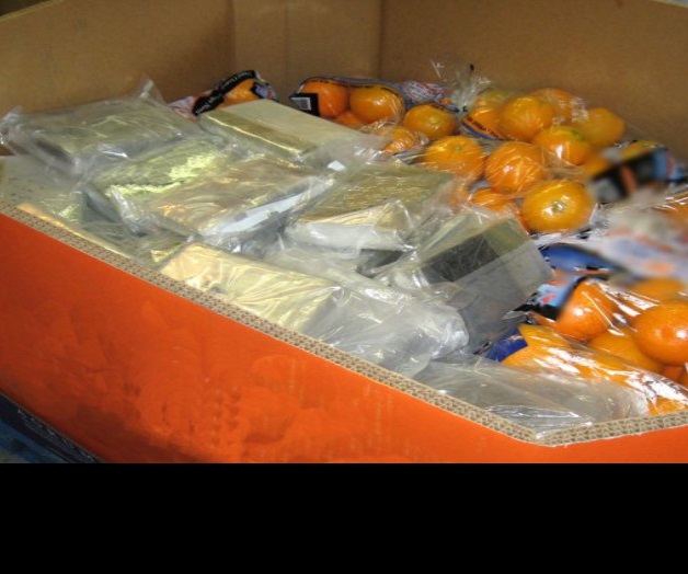 Desmantela la DEAorganización criminal