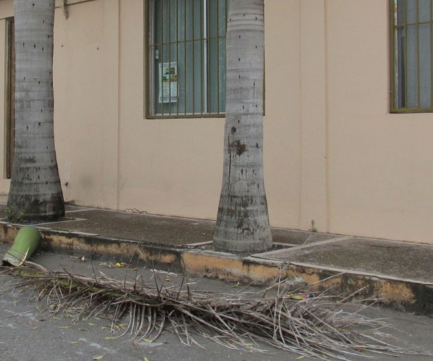 Resienten transeúntes las rachas de viento Resienten transeúntes las rachas de viento