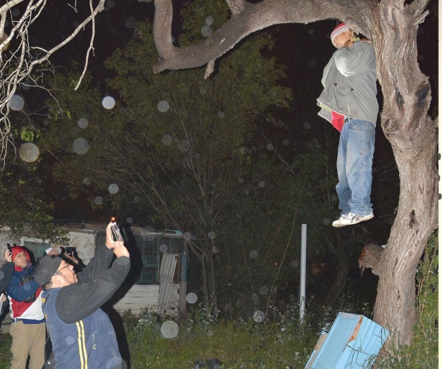 Escapa de problemas y se cuelga de árbol