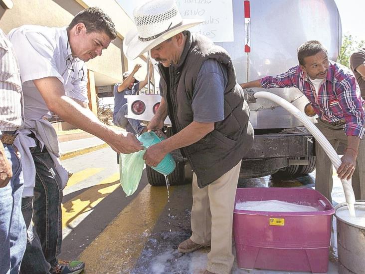 Importaciones afectan a productores de leche Importaciones afectan a productores de leche