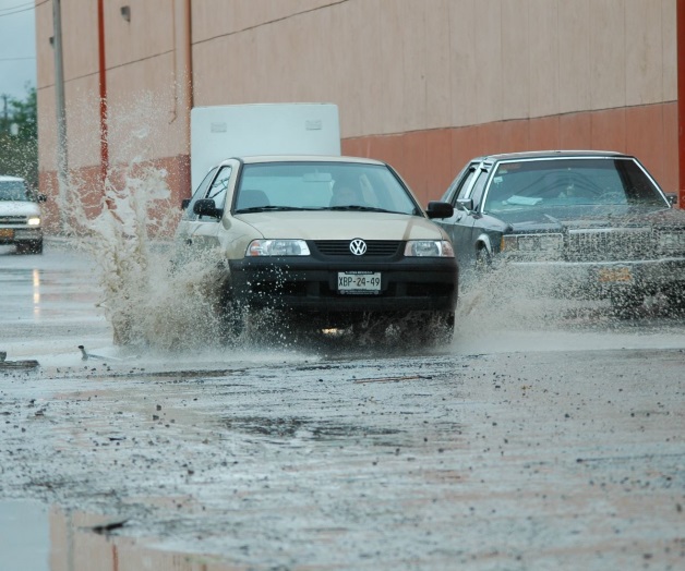 La primavera llegóesta vez con lluvia La primavera llegóesta vez con lluvia