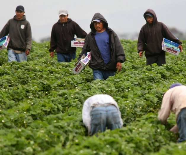 Legalización migratoriabeneficiaría la economía Legalización migratoriabeneficiaría la economía