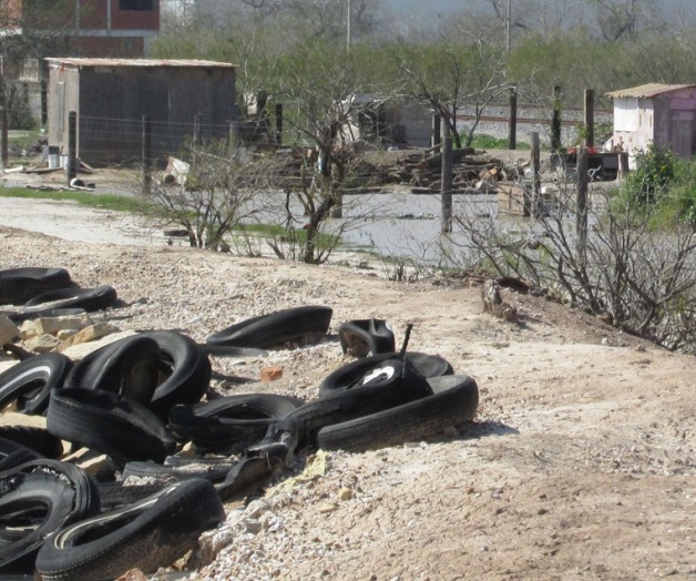 Proliferan mosquitos