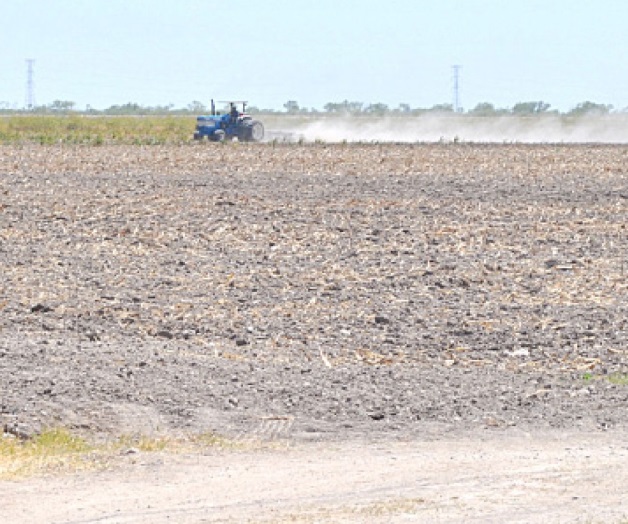 Se le ‘salan’ sus parcelas