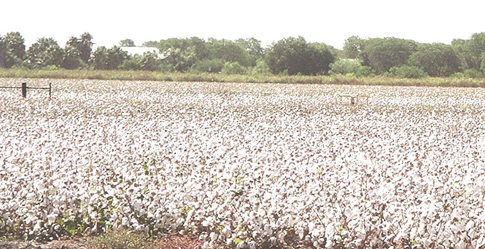 Llamado a adquirir el seguro agrícola Llamado a adquirir el seguro agrícola