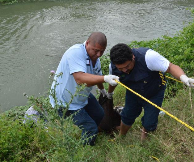 Un asesinado,descompuesto,atrás del penal