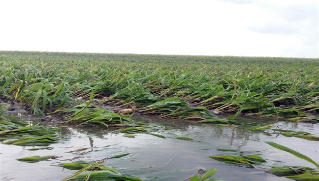 Crece río Conchose incomunica ejidos