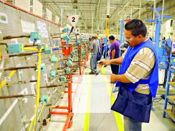 Productividad en México está 60% abajo del promedio de la OCDE Productividad en México está 60% abajo del promedio de la OCDE