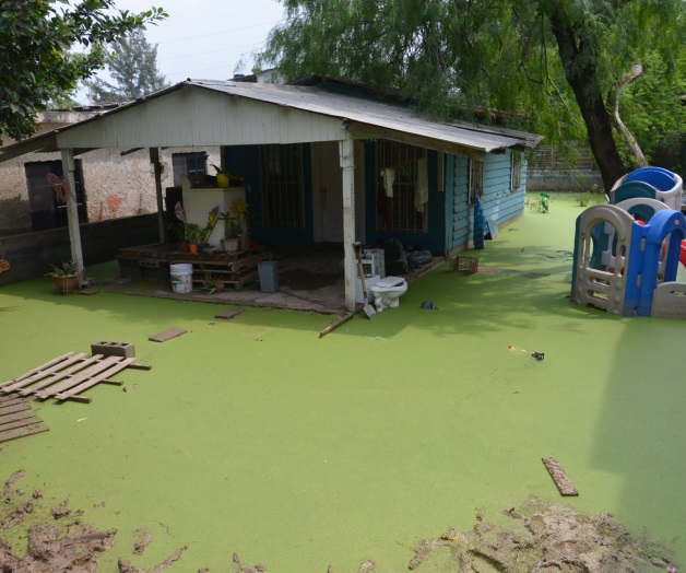 Reportan vecinos‘la casa de Shrek’