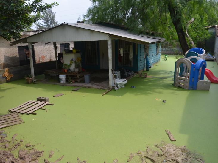 Reportan vecinos‘la casa de Shrek’ Reportan vecinos‘la casa de Shrek’
