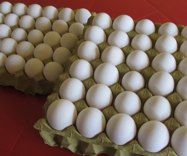 ‘Respiran’ familiasal bajar el huevo ‘Respiran’ familiasal bajar el huevo