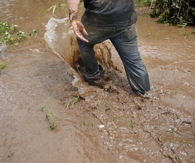 Continúala búsquedade víctimas en Houston Continúala búsquedade víctimas en Houston