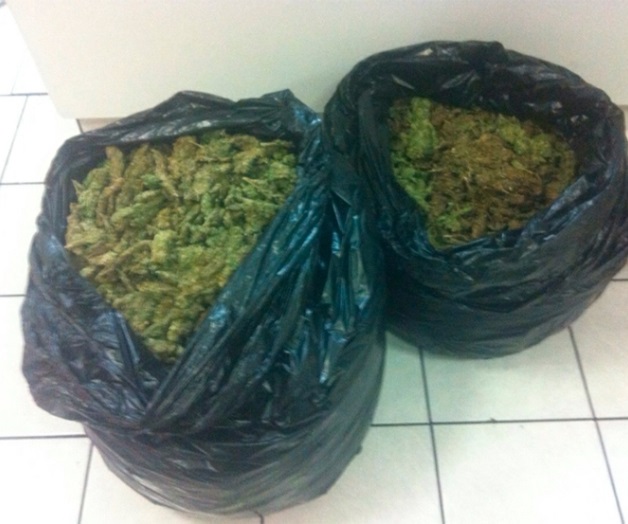 Aseguran 686 kilos de mariguana en Miguel Alemán 