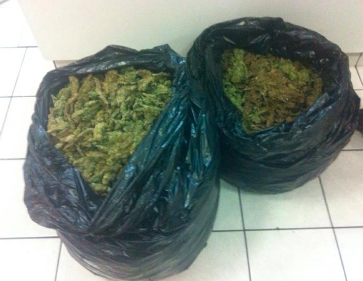 Aseguran 686 kilos de mariguana en Miguel Alemán Aseguran 686 kilos de mariguana en Miguel Alemán