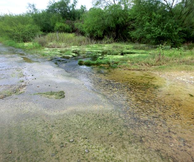 Desmienten rotura en lapresa ‘Marte R. Gómez’ Desmienten rotura en lapresa ‘Marte R. Gómez’
