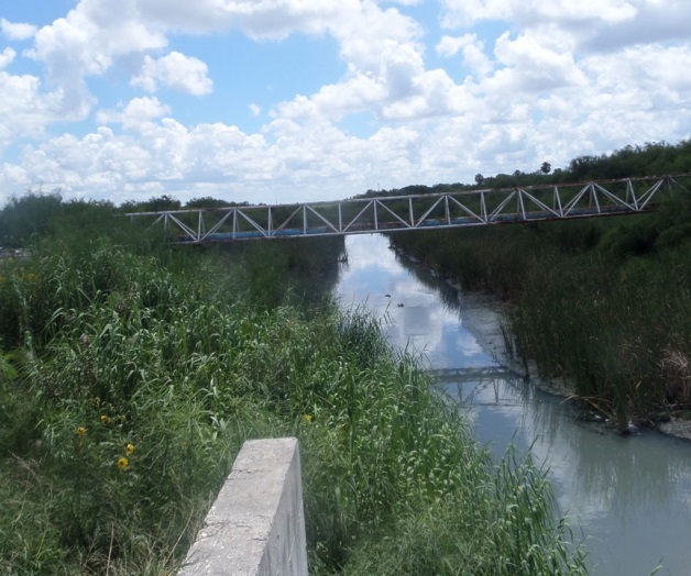 Prolifera la maleza en dren Río Bravo Prolifera la maleza en dren Río Bravo