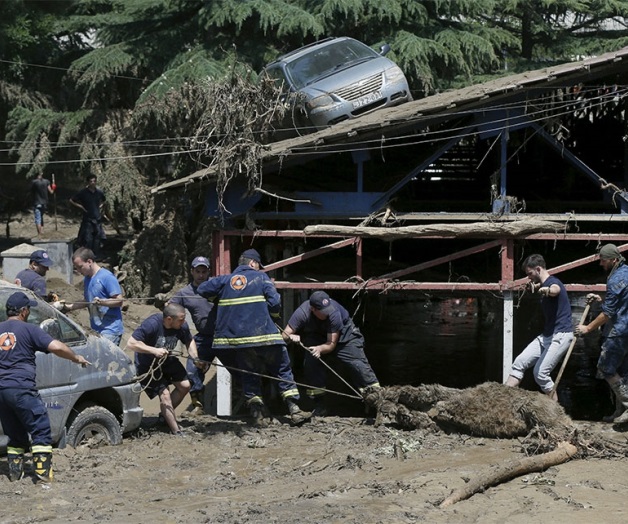 Las fieras del zoológicoson encontradas muertas Las fieras del zoológicoson encontradas muertas