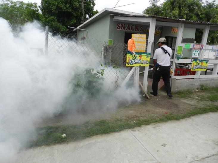 Investigan casos de dengue en colonias Investigan casos de dengue en colonias