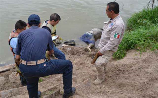 Sacan del ríootro cadáver