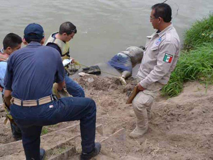 Sacan del río otro cadáver Sacan del río otro cadáver