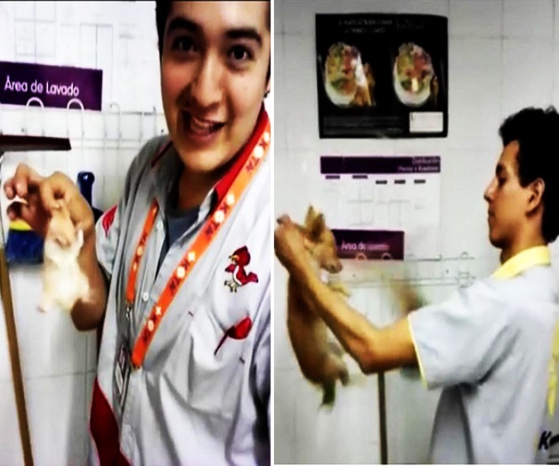 Giran nuevo citatorio a ex empleados de Maskota por maltrato