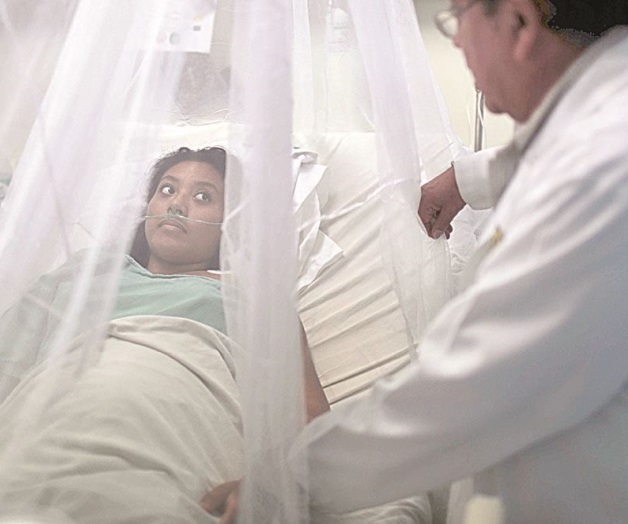 Se atacan Dengue y Chikungunya por igual