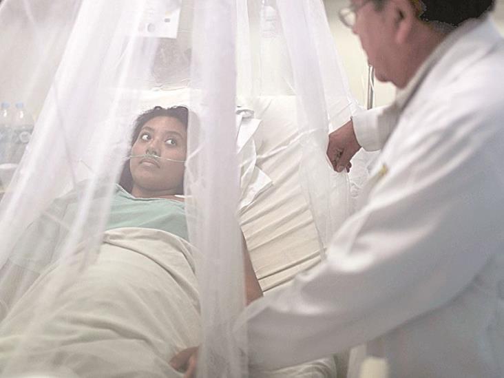 Se atacan Dengue y Chikungunya por igual Se atacan Dengue y Chikungunya por igual