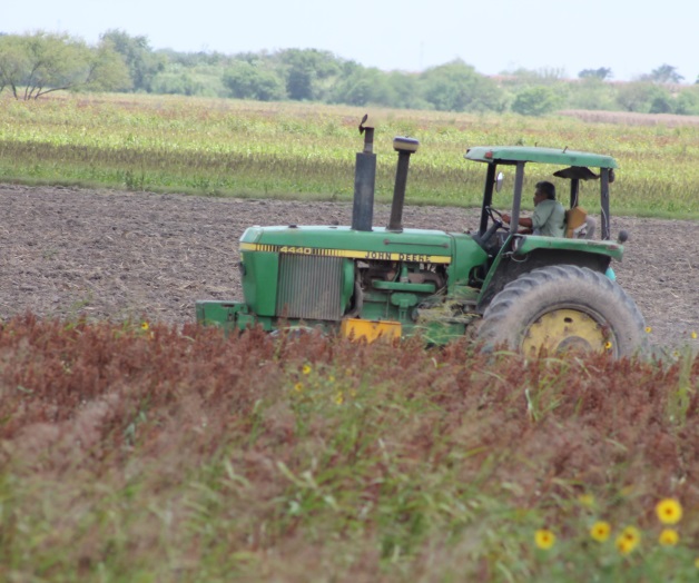 Reciben Proagro Productivo