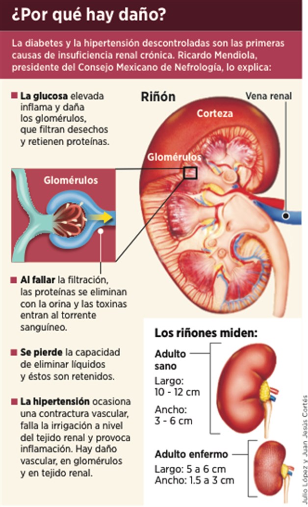 imagen-cuerpo