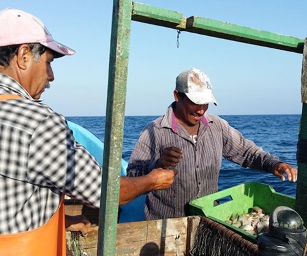 Baja captura de especies acuáticas en Laguna Madre