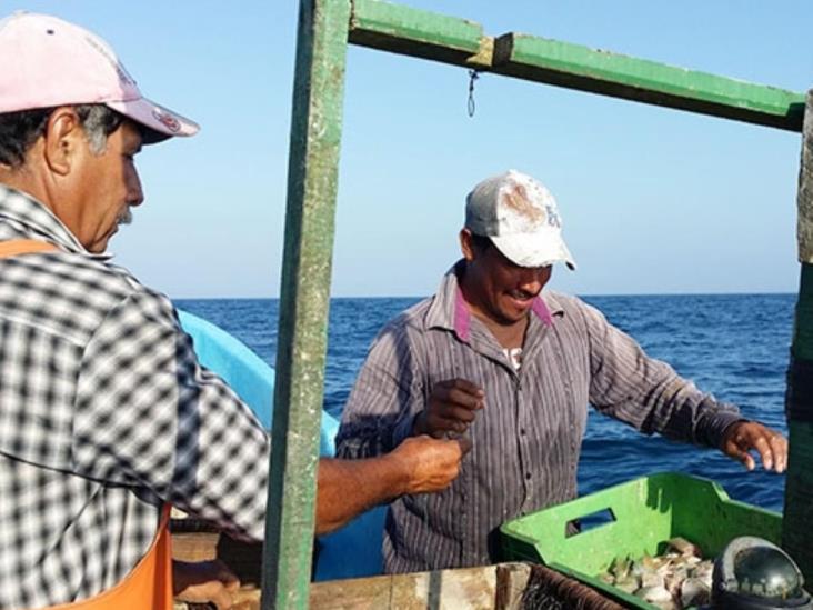 Baja captura de especies acuáticas en Laguna Madre Baja captura de especies acuáticas en Laguna Madre