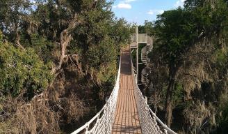 SANTA ANA. Lugar para observar aves en Álamo. 