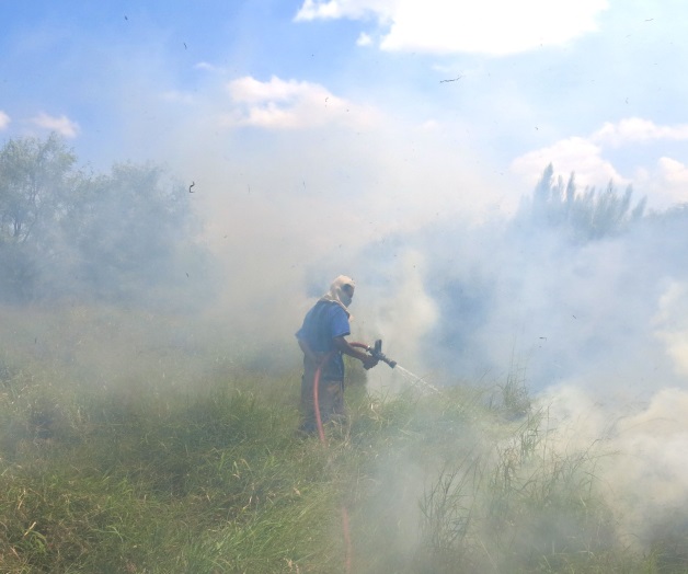 Sofocan Bomberosincendio de pastizal