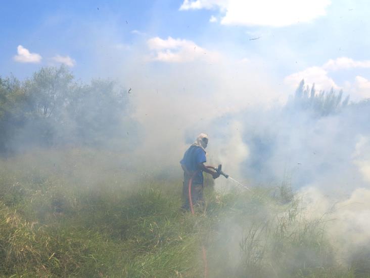 Sofocan Bomberosincendio de pastizal Sofocan Bomberosincendio de pastizal