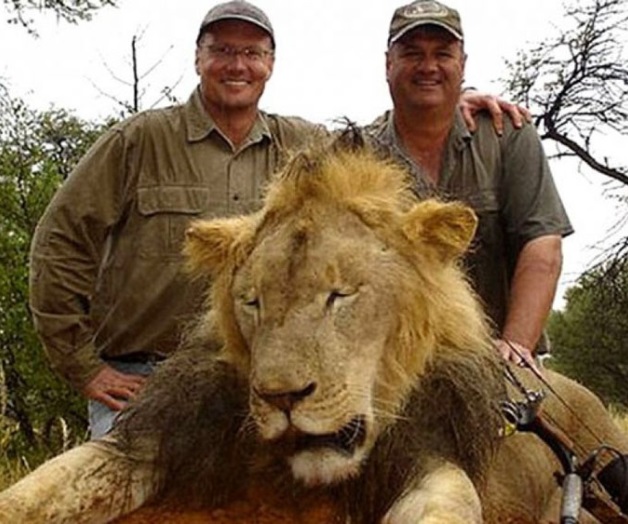 Caen dos sospechosos de matar al león Cecil
