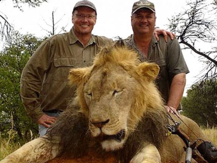 Caen dos sospechosos de matar al león Cecil Caen dos sospechosos de matar al león Cecil