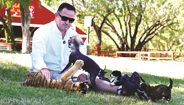 Alfredo Moreno Ricart 1969-2015