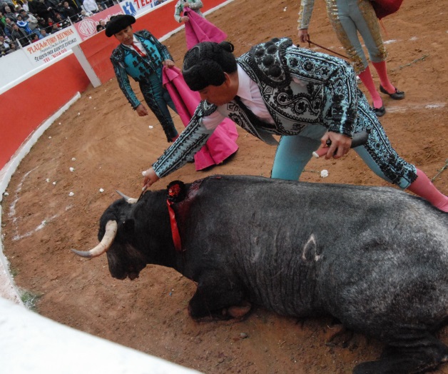 POLÉMICA:¿Deben prohibirse las corridas de toros? La tortura no es arte