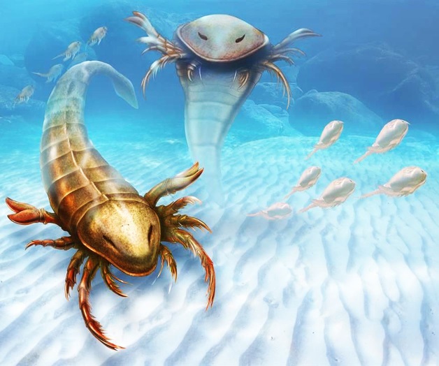 Hallan fósil de escorpión marino gigante