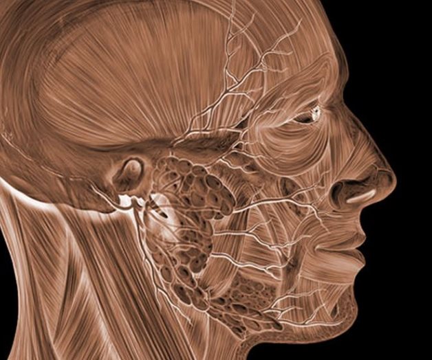 Fallo de nervio produce parálisis facial y debe ser atendido
