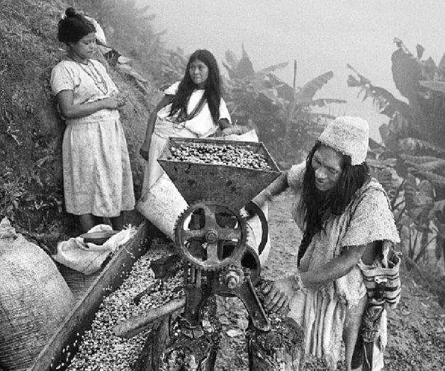 La vuelta a los mundos del café