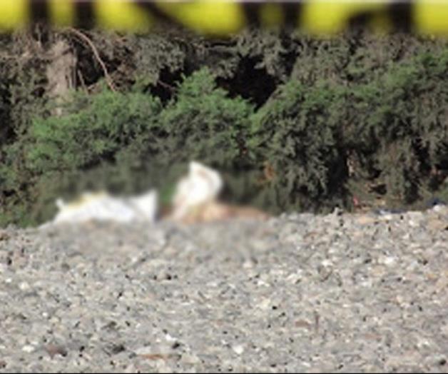 Plagian y matan a 2empresarios jaibos Plagian y matan a 2empresarios jaibos