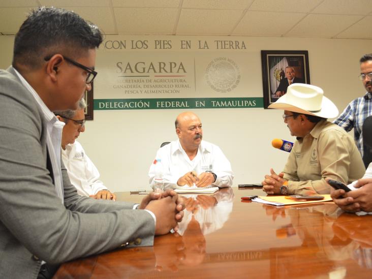 Dialoga Sagarpa con productores Dialoga Sagarpa con productores
